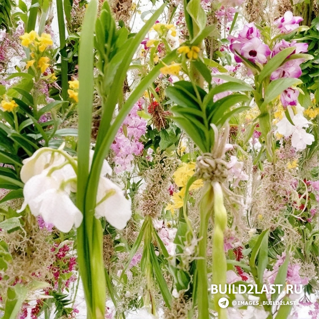 Белые и яркие растения в вертикальных садах Токио, инновационные инсталляции.