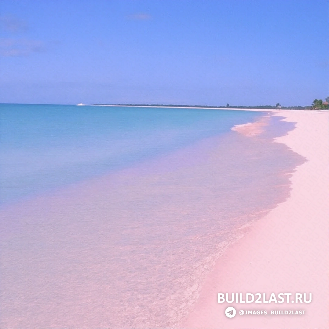 ������� ���� �� ������� ������, ������, � ����� ������� ����� � ������ �����